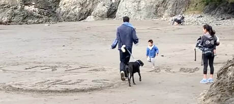 A child, and a parenmt and dog, running on a beach propeller