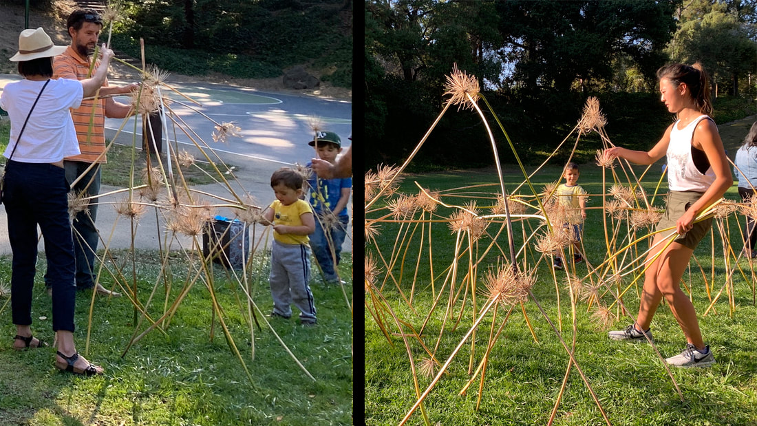 Photos of people making sculpture with dried agapanthus stalks
