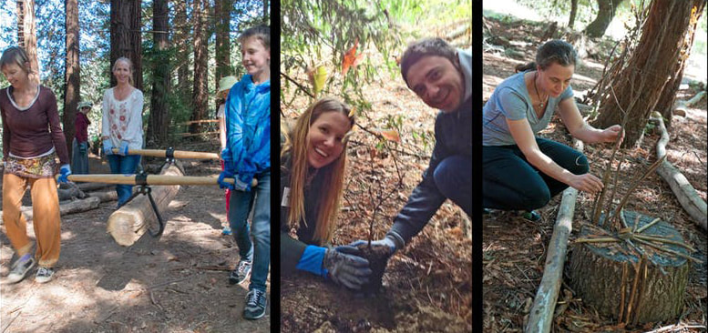 Montage of three photos showing people creating in a pathway in a redwood forest