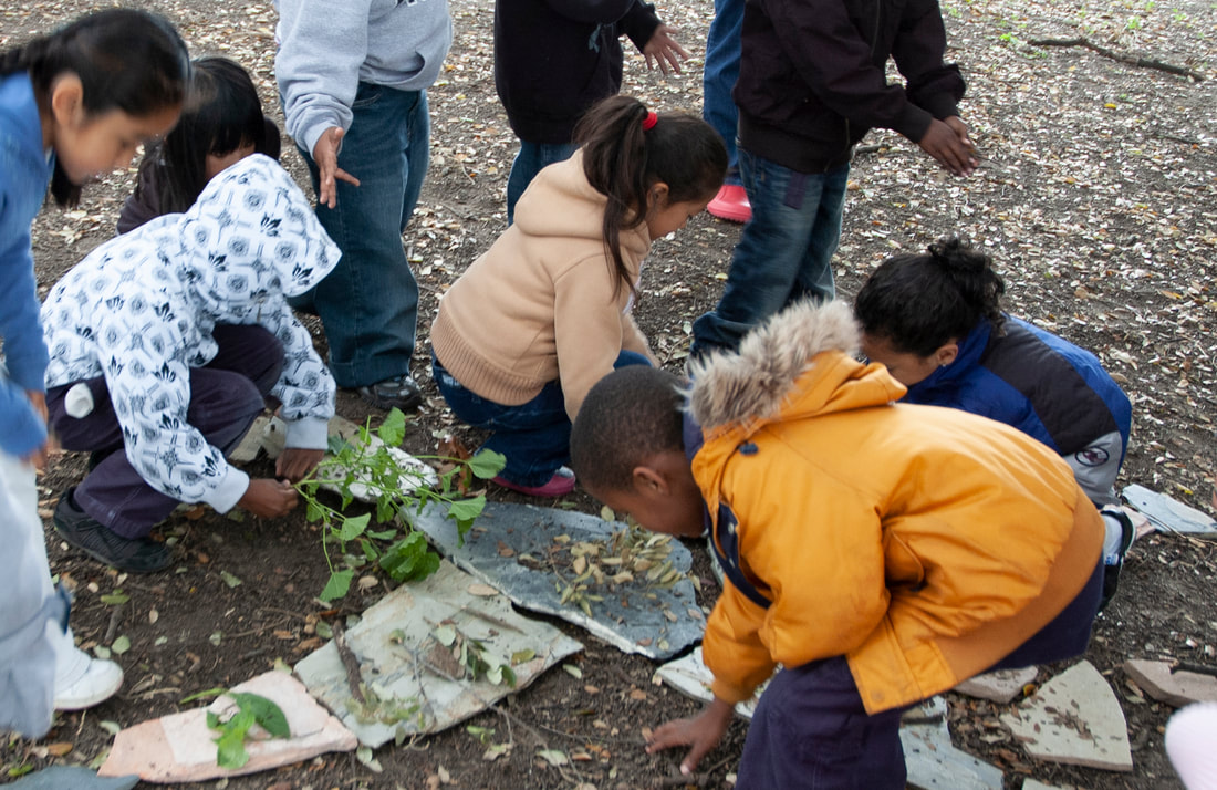 Children creating with nature on the ground